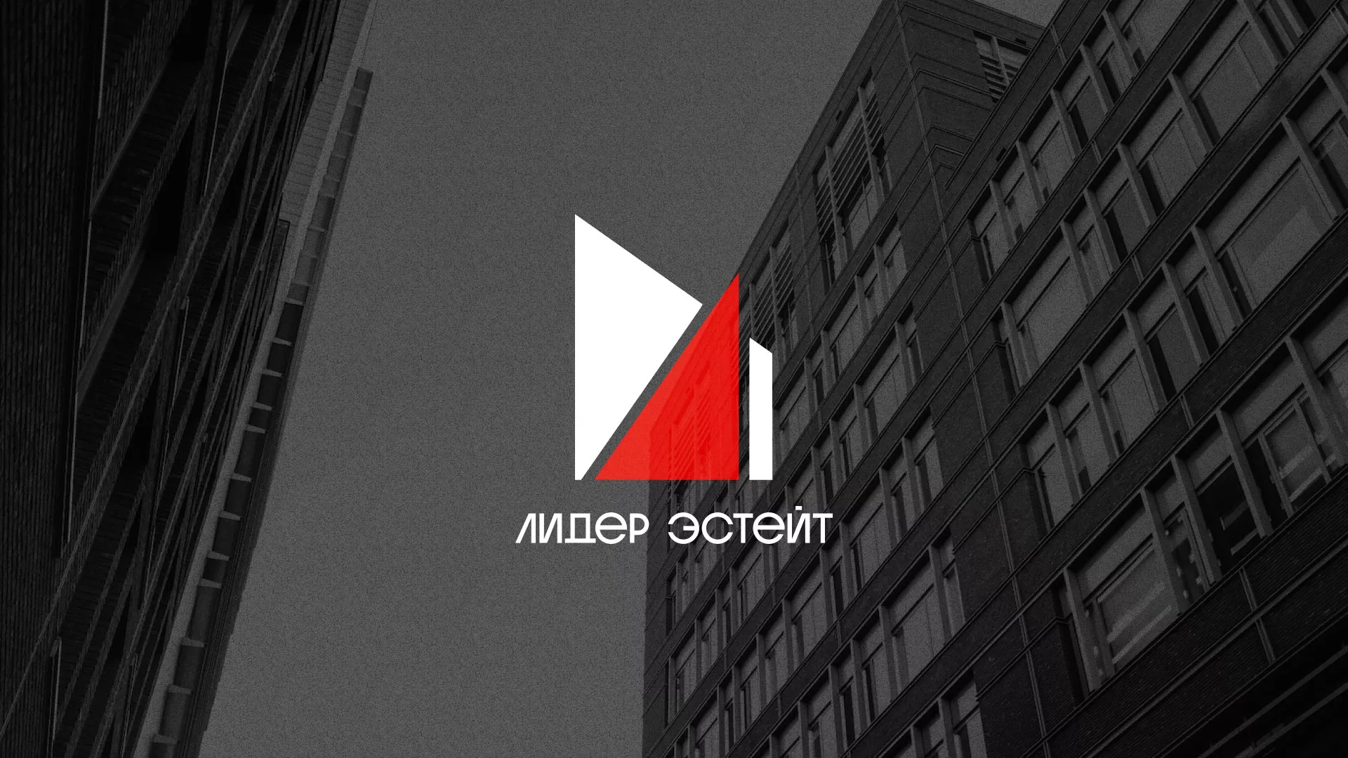 Сделали логотип для агентства недвижимости «Лидер Эстейт» в Верхнем Тагиле